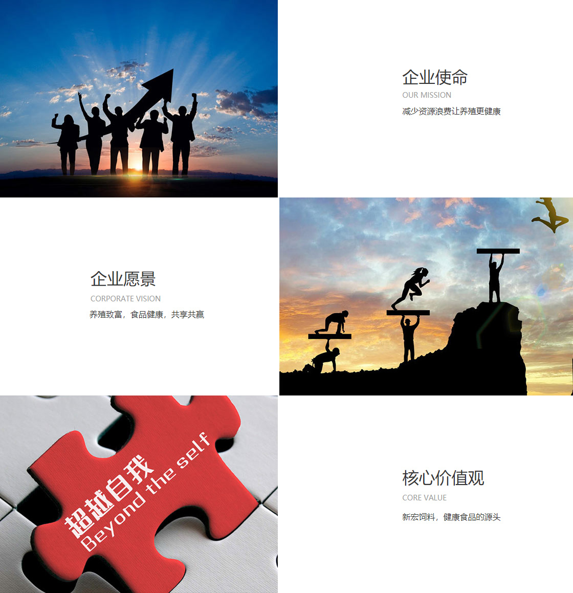 j9九游集团(图1)